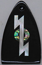Trussrod cover image