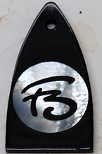Trussrod cover image