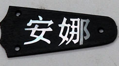 Trussrod cover image
