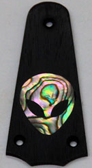 Trussrod cover image