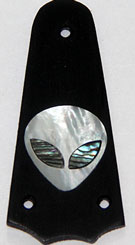 Trussrod cover image
